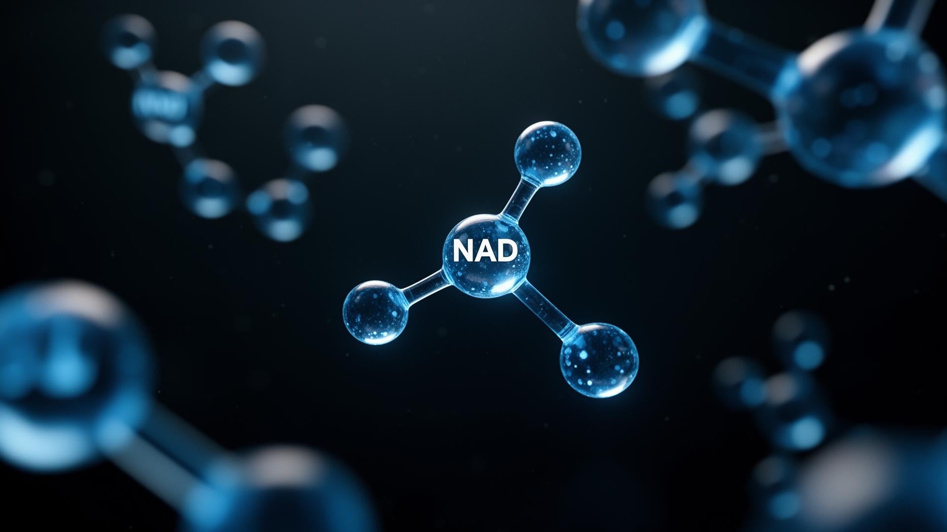 NAD molecular structure visualization